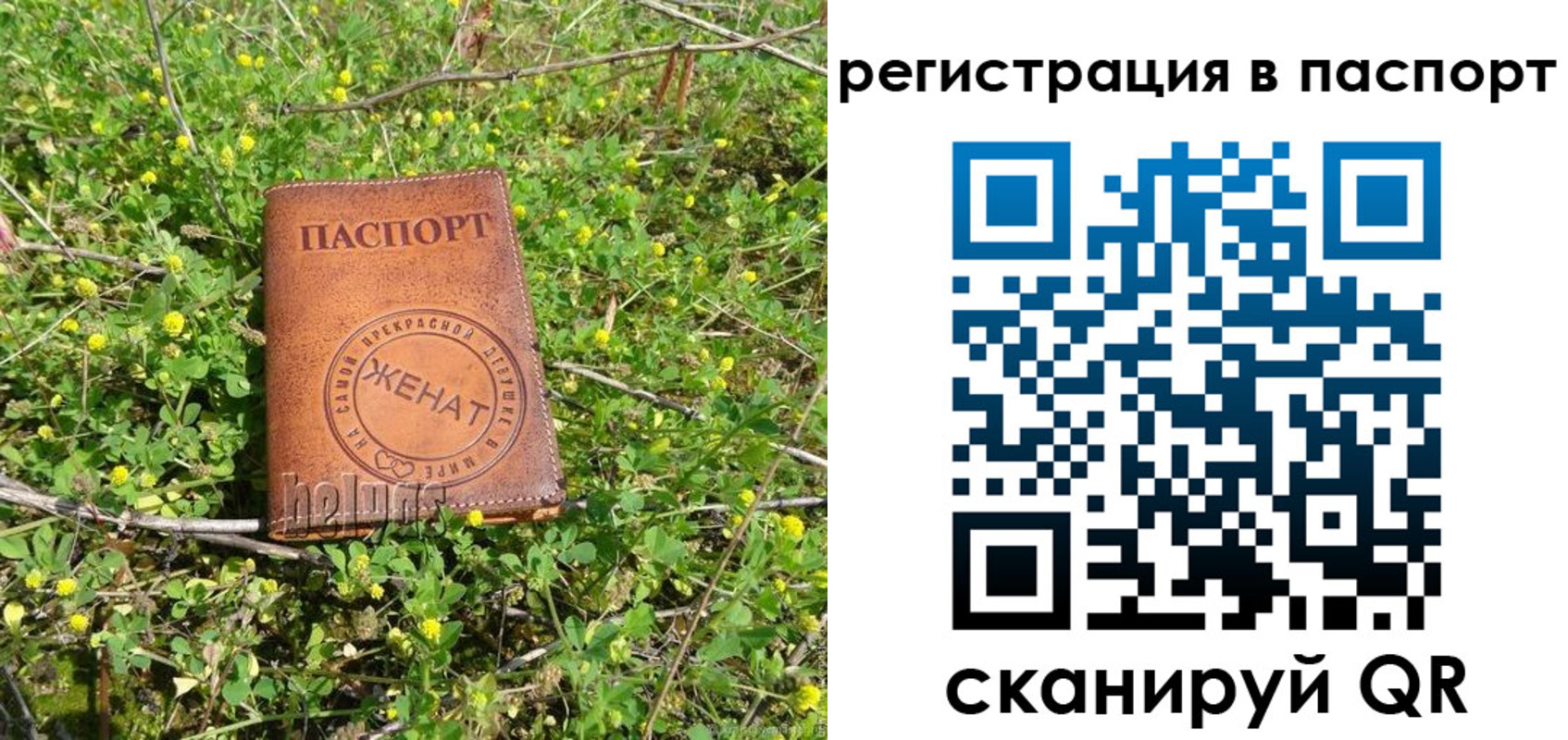 прописка для кредита в Дубовке